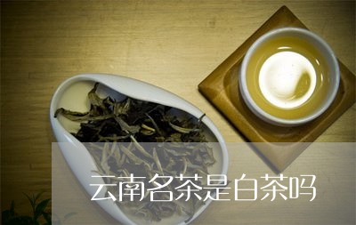 云南名茶是白茶吗/2023061484139