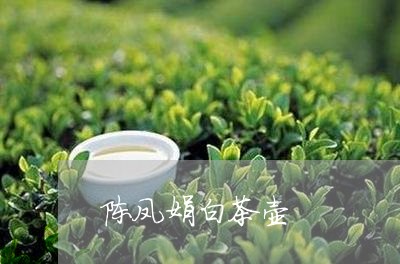 陈凤娟白茶壶/2023052506370