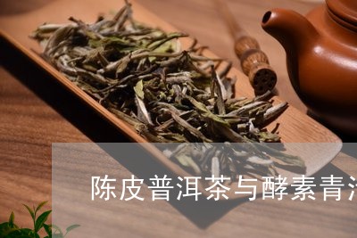 陈皮普洱茶与酵素青汁/2023062473505