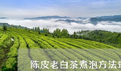 陈皮老白茶煮泡方法窍门/2023063093725