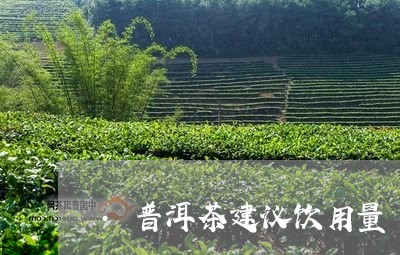 .普洱茶建议饮用量/2023070850492