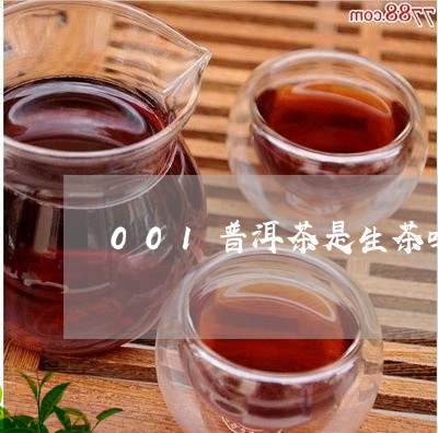 001普洱茶是生茶吗/2023080336251