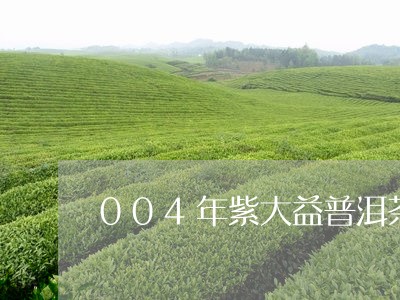 004年紫大益普洱茶/2023092998351