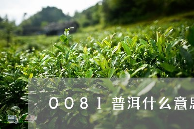 0081普洱什么意思/2023092436178