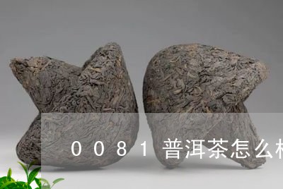 0081普洱茶怎么样/2023080150482