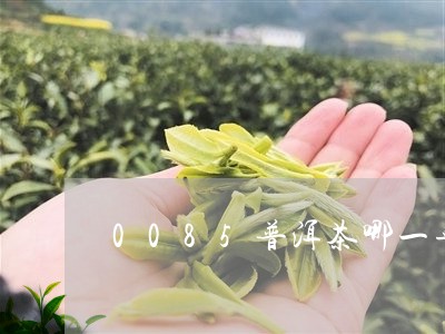 0085普洱茶哪一年的好喝/2023081702815