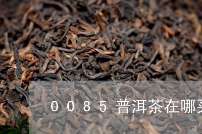 0085普洱茶在哪买/2023062879303