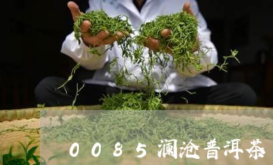 0085澜沧普洱茶/2023070929482