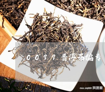 0099普洱茶编号/2023091403625