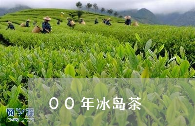 00年冰岛茶/2023090722403