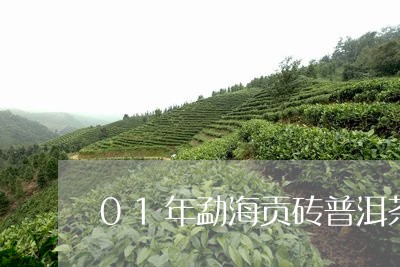 01年勐海贡砖普洱茶/2023092940594