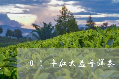 01年红大益普洱茶/2023091517157