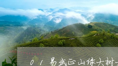 01易武正山绿大树大/2023092369573