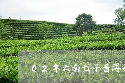 02年云南七子普洱茶/2023093073716