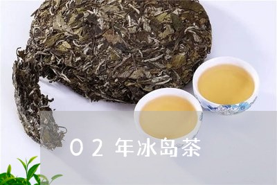 02年冰岛茶/2023090703505