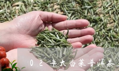 02年大白菜普洱茶王青饼/2023051131926