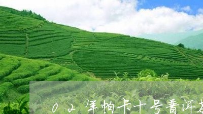 02年帕卡十号普洱茶/2023072103817