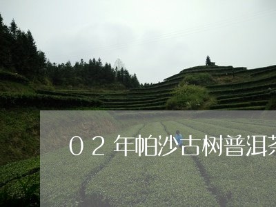 02年帕沙古树普洱茶/2023072366239