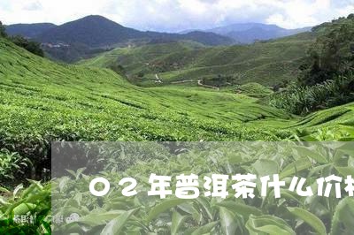 02年普洱茶什么价格/2023080274049