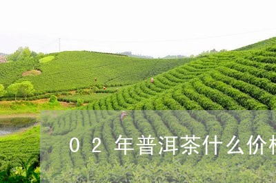 02年普洱茶什么价格/2023100621483