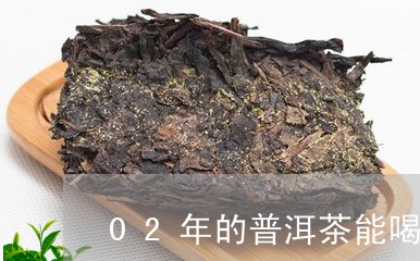 02年的普洱茶能喝吗/2023062108672