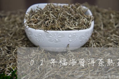 02年福海普洱茶熟茶/2023100779392