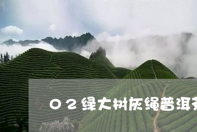 02绿大树灰绳普洱茶/2023062486359