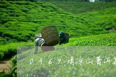 0369清凉山普洱茶/2023100664938