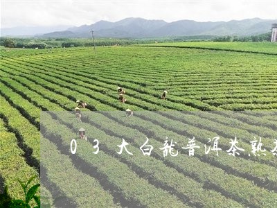 03大白龙普洱茶熟茶/2023100658583