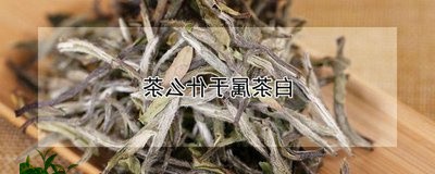 03大益一片叶普洱茶/2023092549583