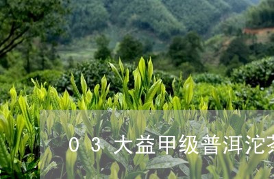 03大益甲级普洱沱茶/2023092519471