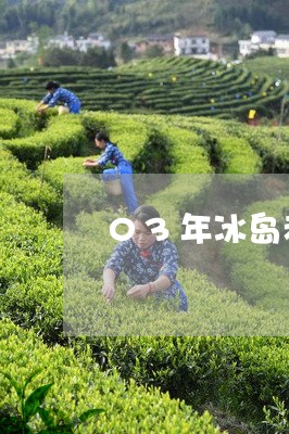 03年冰岛老树普洱茶/2023120694839