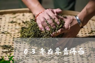 03年古茸普洱茶/2023120305147