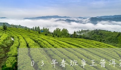 03年春班章王普洱茶/2023072243615