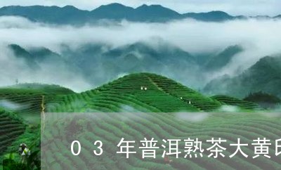 03年普洱熟茶大黄印/2023061318804