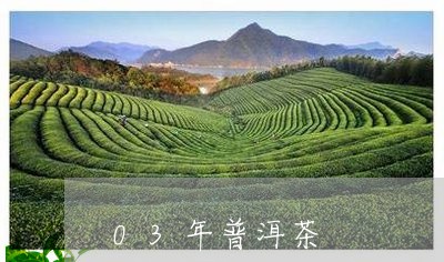 03年普洱茶/2023042988930