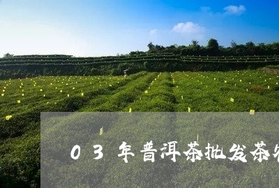 03年普洱茶批发茶农直销/2023082570483