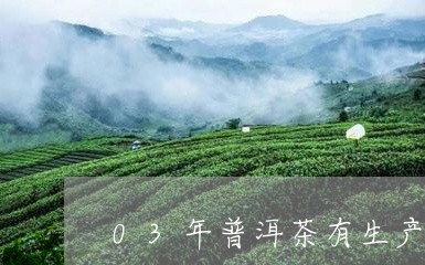 03年普洱茶有生产日期/2023050490683