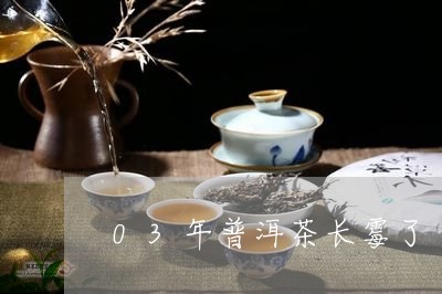 03年普洱茶长霉了/2023101705839