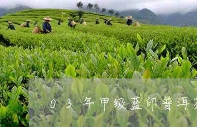 03年甲级蓝印普洱茶/2023080274958