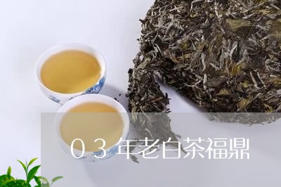 03年老白茶福鼎/2023112593037