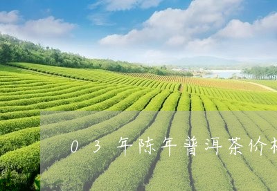 03年陈年普洱茶价格/2023080128350