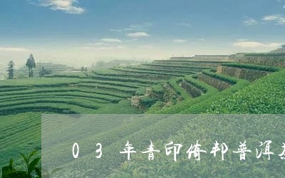 03年青印倚邦普洱茶/2023092601606