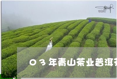 03年青山茶业普洱茶/2023072321946