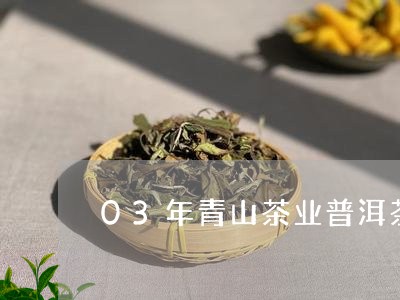 03年青山茶业普洱茶/2023092853726