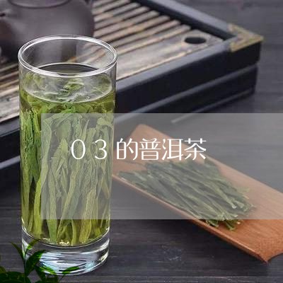 03的普洱茶/2023042899869