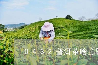 0432普洱茶啥意思/2023100855259