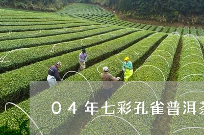 04年七彩孔雀普洱茶/2023072373036