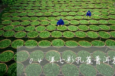 04年七彩孔雀普洱茶/2023092878281