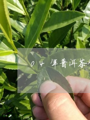 04年普洱茶饼5个装/2023061563936